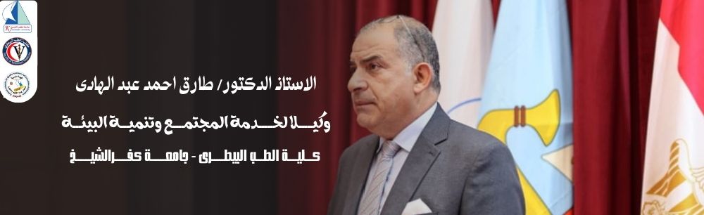 طارق عبد الهادى